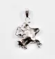 Preview: pendant "Isle of Ruegen" small