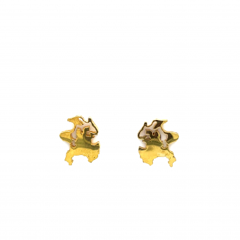 Rügen_Ohrstecker_Ohrring_Stecker_Gold