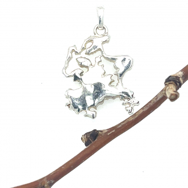 RAKsilver