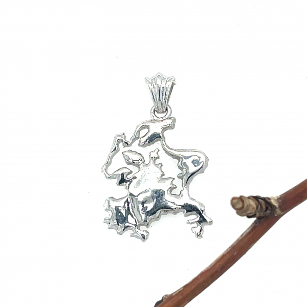 RAKsilver