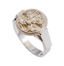 Hiddenseer Ring Fibula15 mm glatter Ringschiene